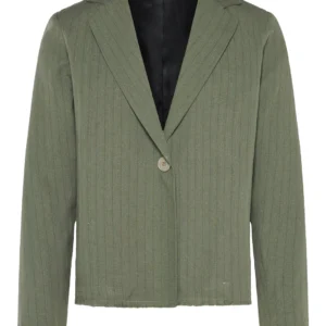 Symbol blazer striped green