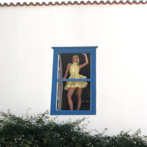 Iris mini dress