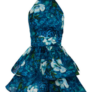 Camella mini dress